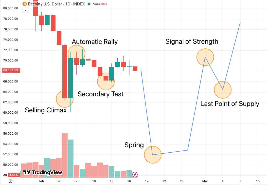 Daily Bitcoin Wyckoff Accumulation